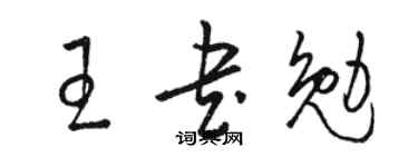 駱恆光王書勉草書個性簽名怎么寫