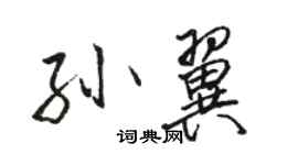 駱恆光孫翼行書個性簽名怎么寫