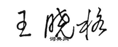 駱恆光王曉格草書個性簽名怎么寫