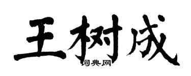 翁闓運王樹成楷書個性簽名怎么寫