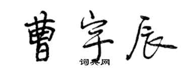 曾慶福曹宇辰行書個性簽名怎么寫