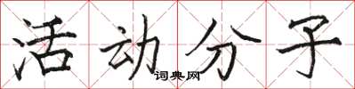 駱恆光活動分子楷書怎么寫