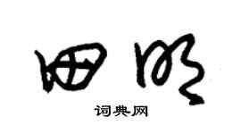 朱錫榮田明草書個性簽名怎么寫