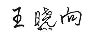 駱恆光王曉向行書個性簽名怎么寫