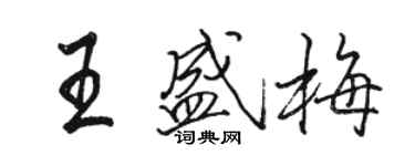 駱恆光王盛梅行書個性簽名怎么寫
