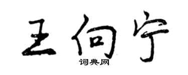 曾慶福王向寧行書個性簽名怎么寫