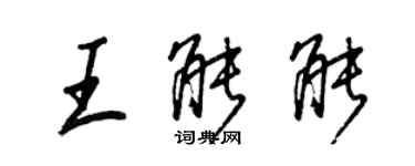王正良王能能行書個性簽名怎么寫