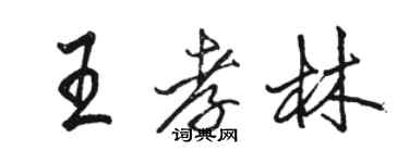 駱恆光王孝林行書個性簽名怎么寫