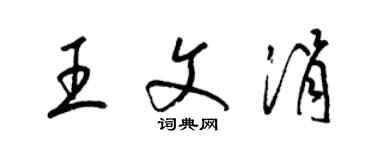 梁錦英王文涓草書個性簽名怎么寫