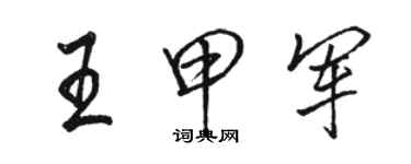 駱恆光王甲軍行書個性簽名怎么寫