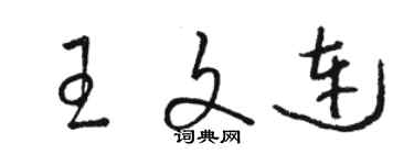 駱恆光王文連草書個性簽名怎么寫