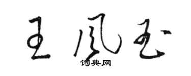 駱恆光王風玉草書個性簽名怎么寫