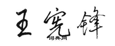 駱恆光王憲鋒行書個性簽名怎么寫