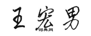 駱恆光王宏男行書個性簽名怎么寫