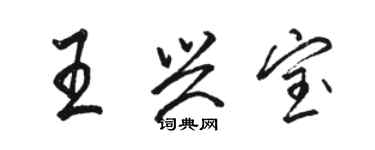 駱恆光王興寶行書個性簽名怎么寫