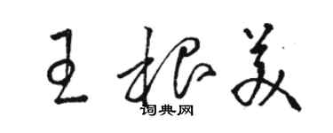 駱恆光王根美草書個性簽名怎么寫