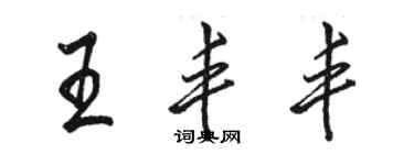 駱恆光王豐豐行書個性簽名怎么寫