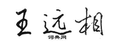 駱恆光王遠相行書個性簽名怎么寫
