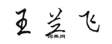 駱恆光王蘭飛行書個性簽名怎么寫