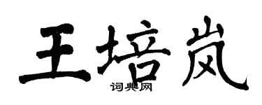 翁闓運王培嵐楷書個性簽名怎么寫