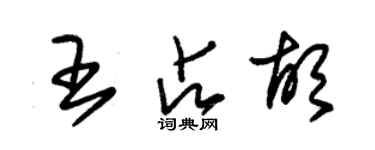 朱錫榮王占胡草書個性簽名怎么寫