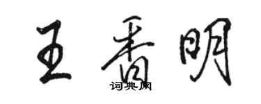 駱恆光王香明行書個性簽名怎么寫