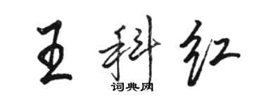 駱恆光王科紅行書個性簽名怎么寫