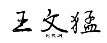 曾慶福王文猛行書個性簽名怎么寫