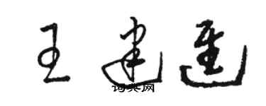 駱恆光王建進草書個性簽名怎么寫