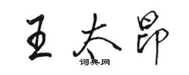 駱恆光王太昂行書個性簽名怎么寫