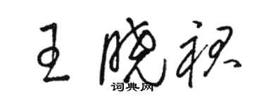 駱恆光王曉裙草書個性簽名怎么寫