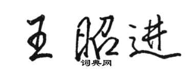 駱恆光王昭進行書個性簽名怎么寫