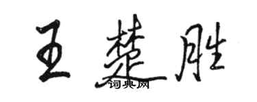 駱恆光王楚勝行書個性簽名怎么寫