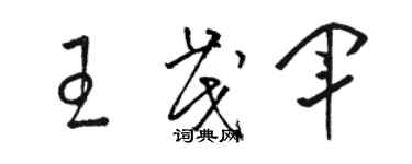 駱恆光王茂軍草書個性簽名怎么寫