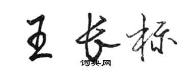 駱恆光王長標行書個性簽名怎么寫