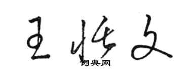 駱恆光王恬文草書個性簽名怎么寫