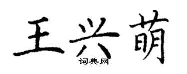 丁謙王興萌楷書個性簽名怎么寫