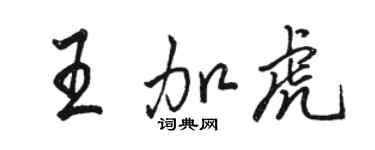 駱恆光王加虎行書個性簽名怎么寫