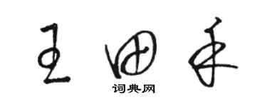 駱恆光王田禾草書個性簽名怎么寫