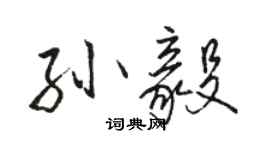 駱恆光孫毅行書個性簽名怎么寫