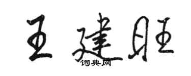 駱恆光王建旺行書個性簽名怎么寫