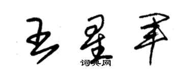 朱錫榮王星軍草書個性簽名怎么寫