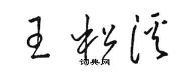 駱恆光王松溪草書個性簽名怎么寫