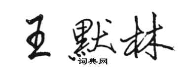 駱恆光王默林行書個性簽名怎么寫