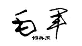 朱錫榮毛軍草書個性簽名怎么寫