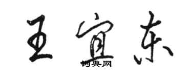 駱恆光王宜東行書個性簽名怎么寫