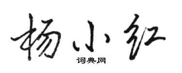 駱恆光楊小紅行書個性簽名怎么寫