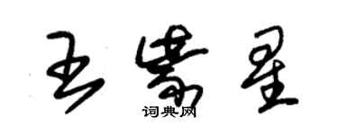 朱錫榮王紫星草書個性簽名怎么寫