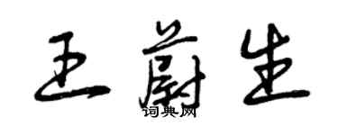 曾慶福王蔚生草書個性簽名怎么寫