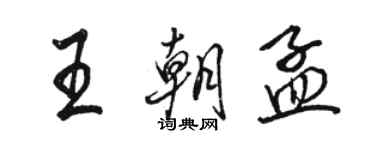 駱恆光王朝孟行書個性簽名怎么寫